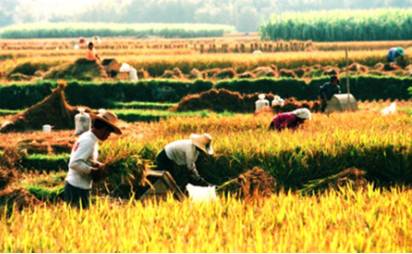 干农活脚关节酸痛贴什么好,干农活导致的手指关节痛怎么治疗