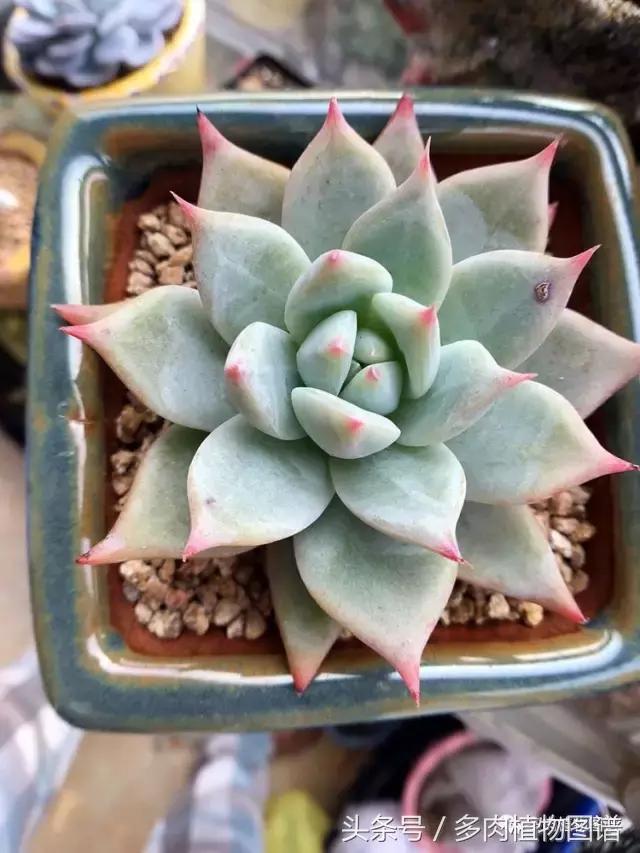 入坑半年的经历,入坑五个月总结