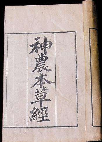 清肝明目的草药决明子,炒决明子润肠通便