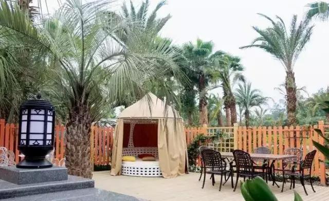 四川房车露营,川藏线上最火的房车露营基地