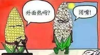 狗狗中暑了怎么办最快解决方法,天气这么热的狗都中暑了