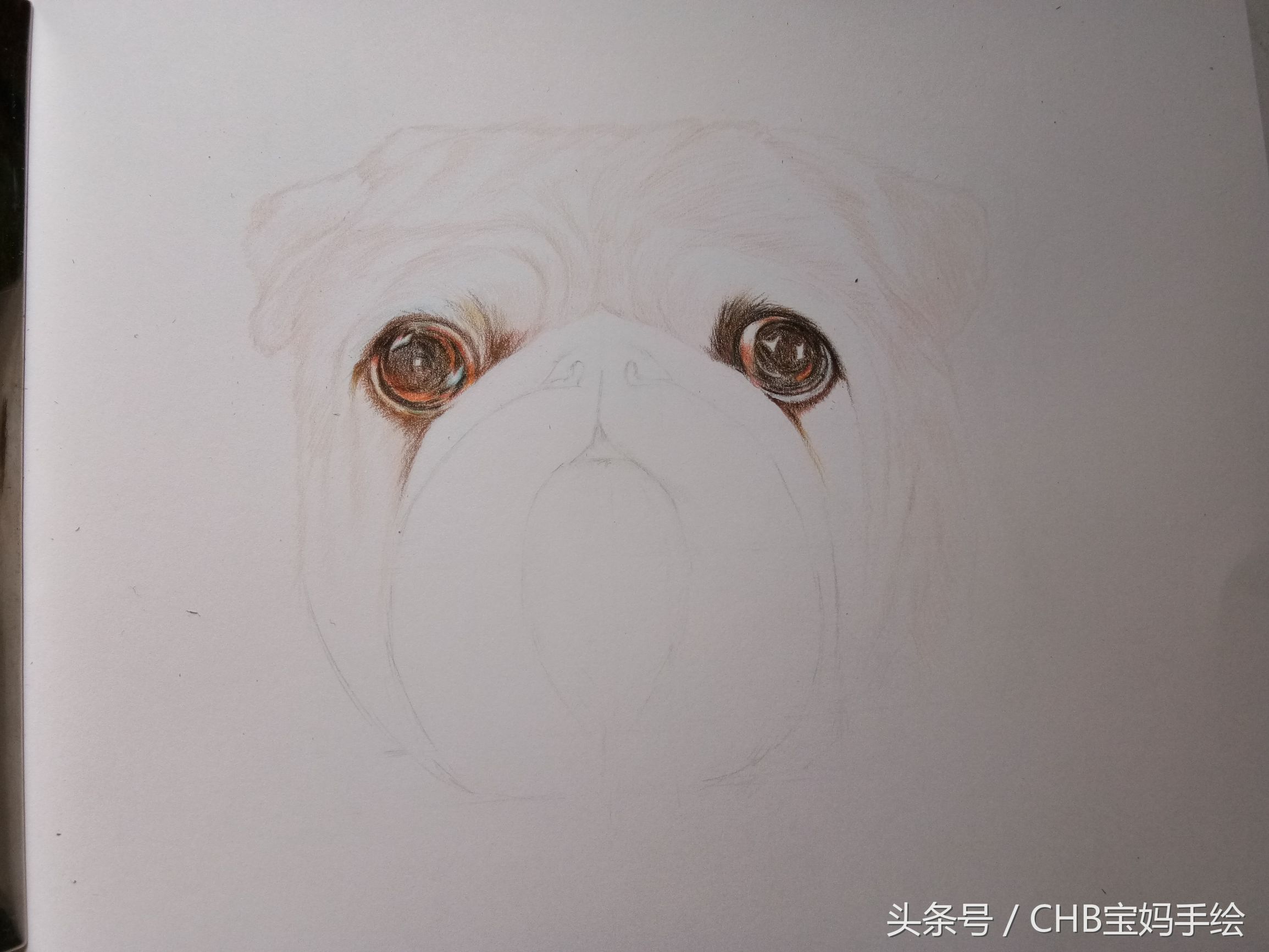 零基础学画漫画萌少女彩铅,如何学彩铅画狗