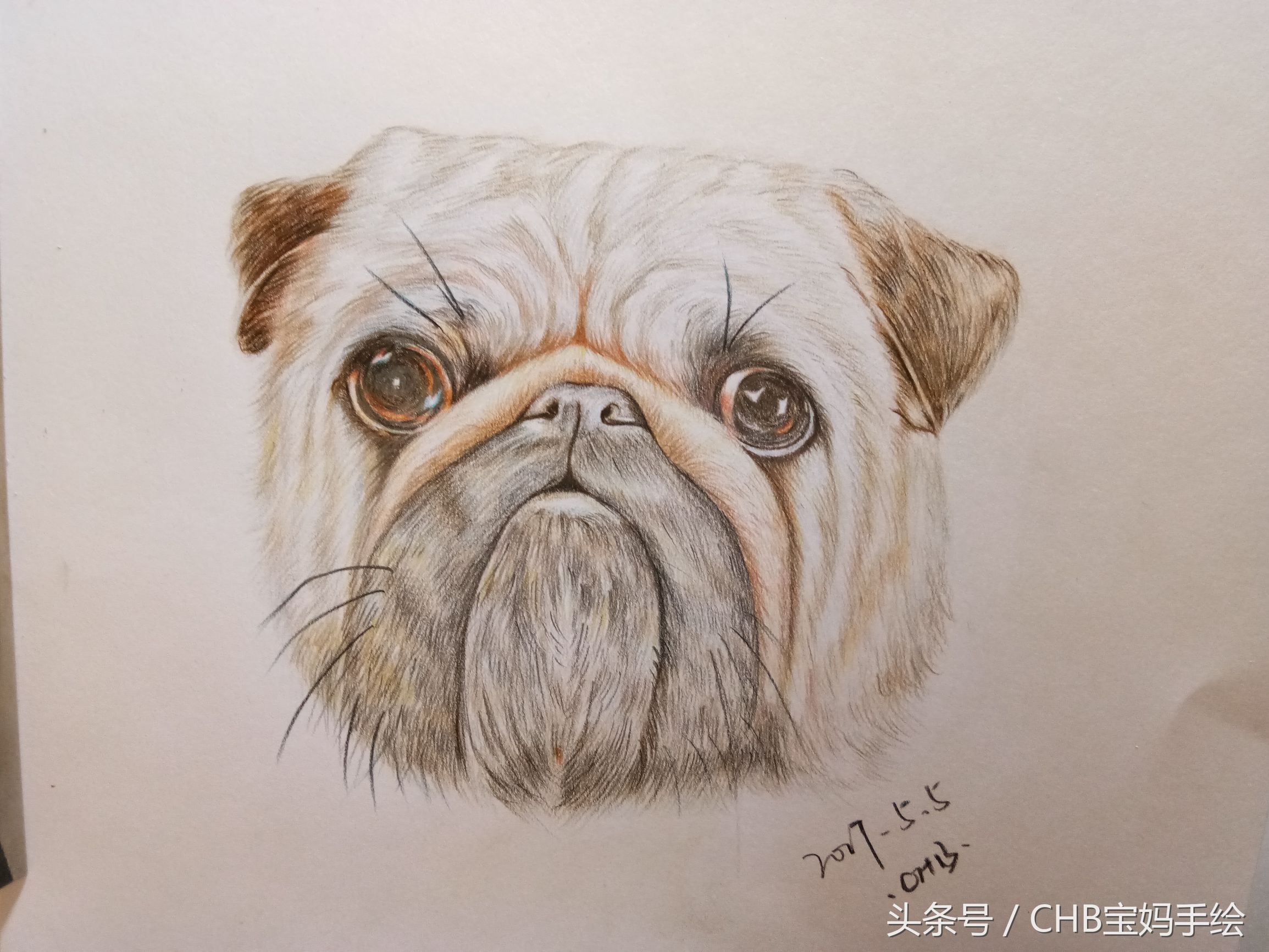 零基础学铅笔画入门小狗,零基础自学彩铅画入门教程