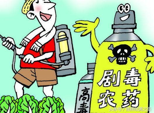 韭菜可以直接放烤炉上烤吗,韭菜怎么防止烤焦