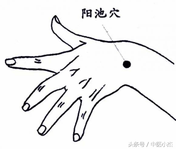 阳气入津的穴位,阳池穴和阳溪穴哪个升阳气快