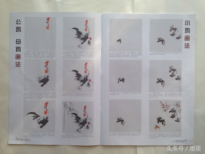 公鸡母鸡组合画法,柿子公鸡写意画法