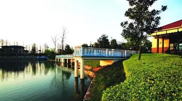 地铁8号线东延何时建成,地铁8号线支线迎来新进展