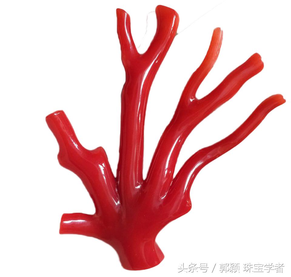 阿卡牛血红珊瑚自己戴可以吗,顶级阿卡牛血红珊瑚是哪个产地