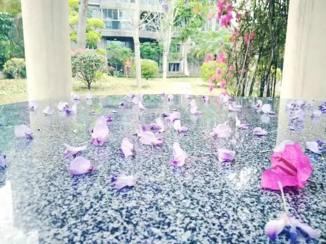 核心价值观57期,核心价值观之爱国敬业诚信友善