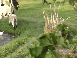 约会的时候女朋友老是玩手机,约会的时候女朋友太紧张怎么办