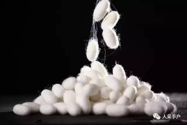 可爱的蚕宝宝怎么做,可爱的蚕宝宝