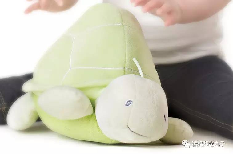 钱会花光人会散它萌不会离开你