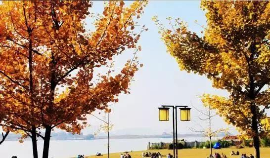 这所颜值逆天的学校，不仅是剧组常驻地，连教授都是国内一线明星