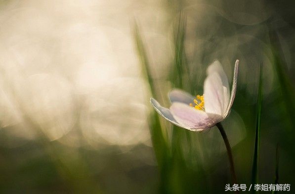 《道德经》二十八章以全局之眼看世间万物