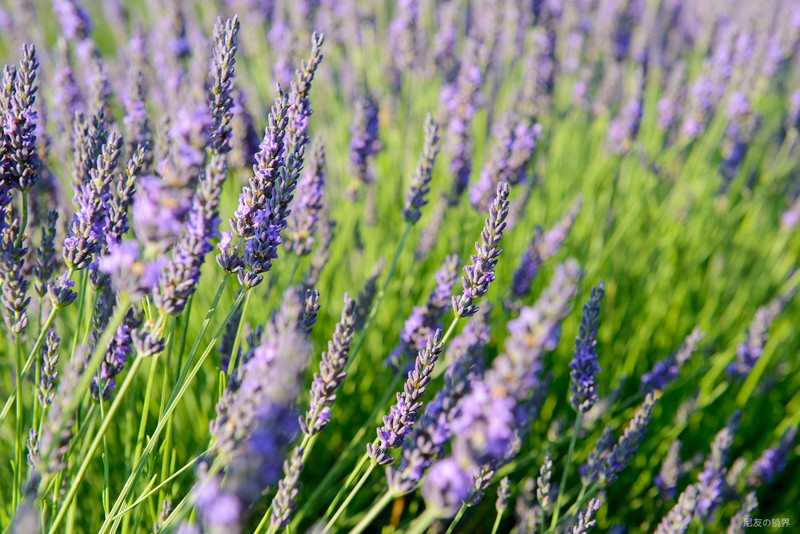 hkcg4plus显示器花屏,hkc的g40显示器评测