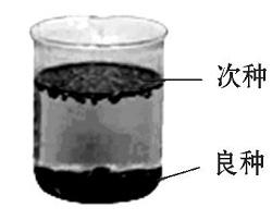 初二物理浮力中考计算题,物理中考浮力题选择题