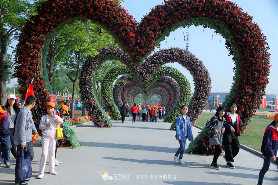 花园宝宝的萌宝,花园宝宝幼儿园里欢乐多