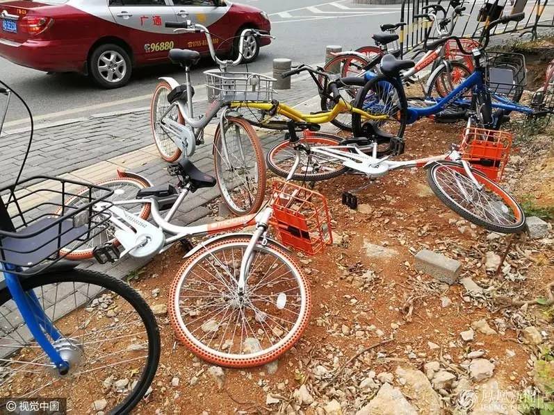 共享单车骑行常识及注意事项,使用共享单车注意哪些安全行为