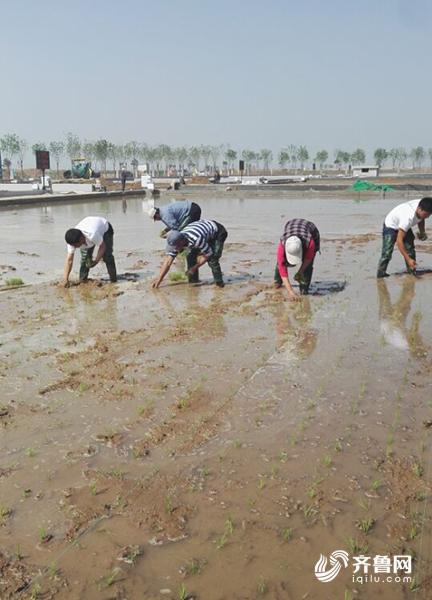 众筹两千多万，“袁米”怎么做到的？为你揭秘背后的故事