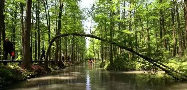 来一场说走就走的旅行江苏,等老了去旅行