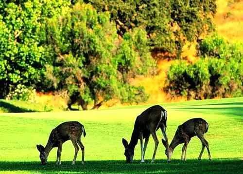 外地人有福了!是谁整理的这本青岛玩乐指南?我要奖励他!