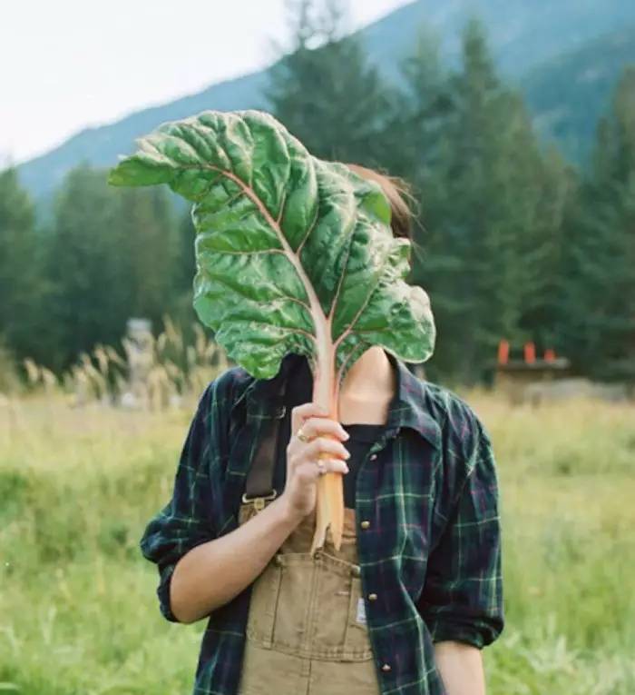 那些被阳光选为“斑”长的肌肤，得学会这样自救