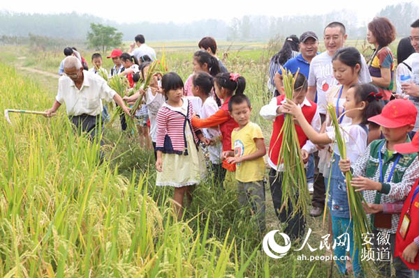 椹悜闃充笅涔¤骞曞悗鑺辩诞,閽熷畤椹儮