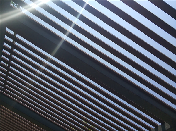 老外观看小米汽车之后的感受,老外赞叹中国美景反应视频