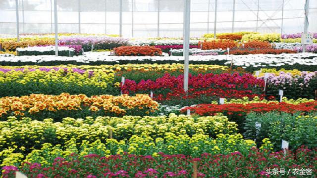 农村小投资就能挣钱的项目,适合农村投资小回报快的小生意