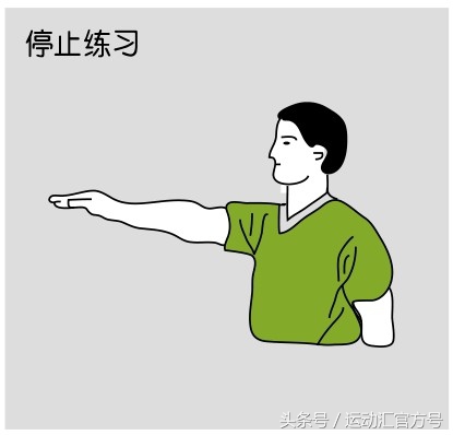 羽毛球发球裁判员手势,羽毛球裁判手势及术语