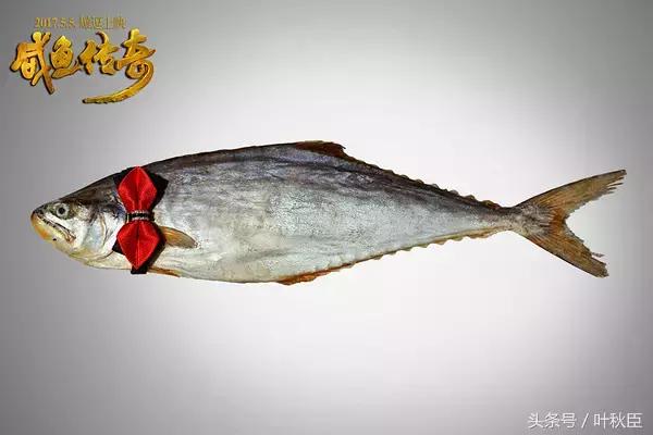 《咸鱼传奇》还记得和刘翔离婚的那个90后姑娘吗？