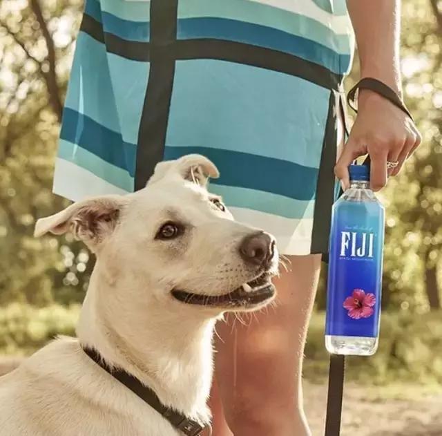 各个牌子的饮用水测评,什么品牌的饮用水最好