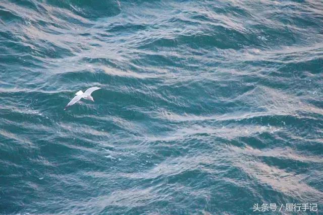 极度深寒邮轮游,拥抱大海和蓝天搭上邮轮去旅行