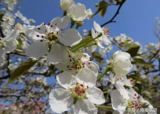 清远连州十大最好玩的景点,连州古城古村风景