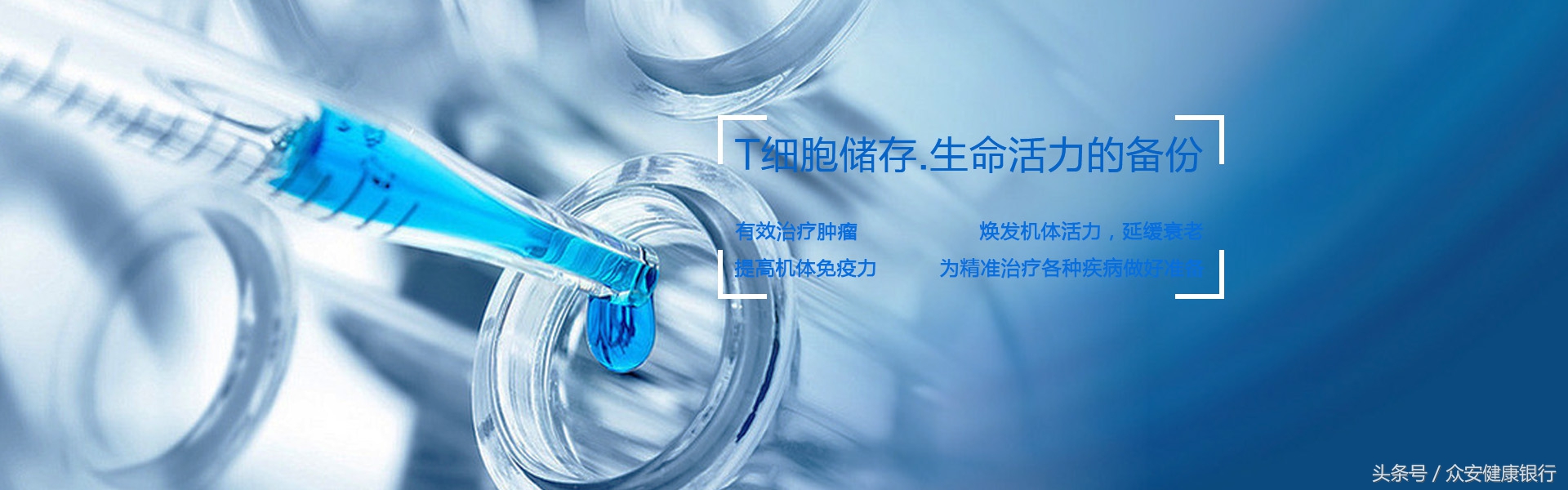 梅奥诊所推进「溶瘤病毒联合PD-L1抗体」治疗转移性结直肠癌