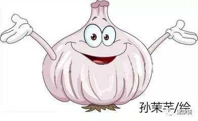 大蒜抗菌吃法,大蒜是否适合生吃