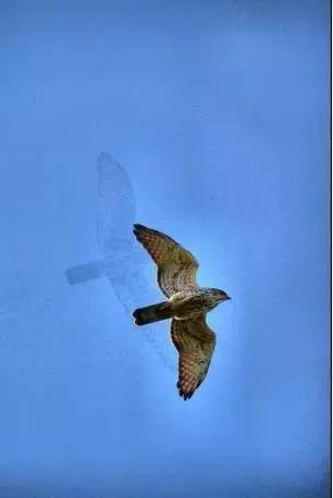 相机固件升级后非原厂镜头能用吗,相机要升级最新固件吗