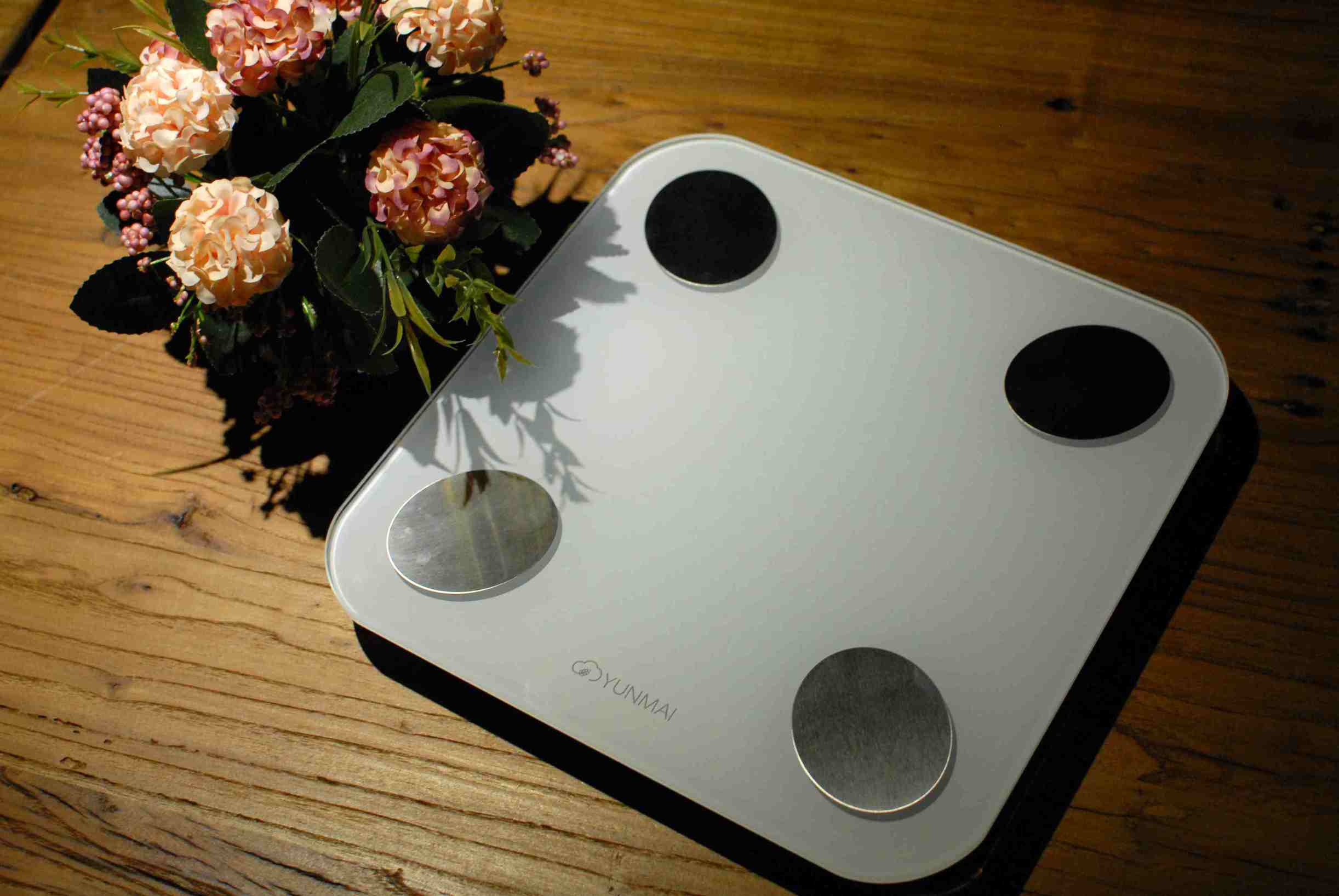 云麦mini2体脂秤说明书,云麦体脂秤mini2s测评