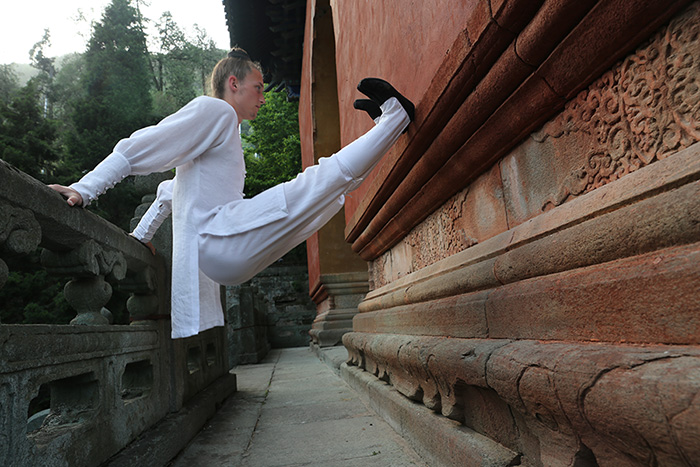 武当山金顶陈师行,武当山道长陈师行走火入魔