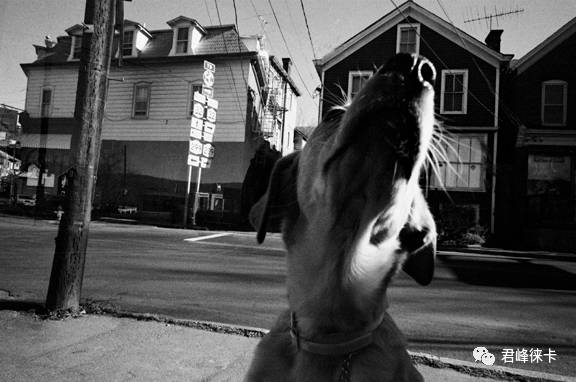 广角镜头会是以后徕卡的主力吗?细说徕卡28镜头