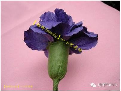母亲节礼物手工康乃馨用卫生纸折,母亲节的康乃馨怎么做视频