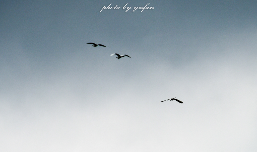 中国最著名的几大天池,中国最深的湖长白山天池