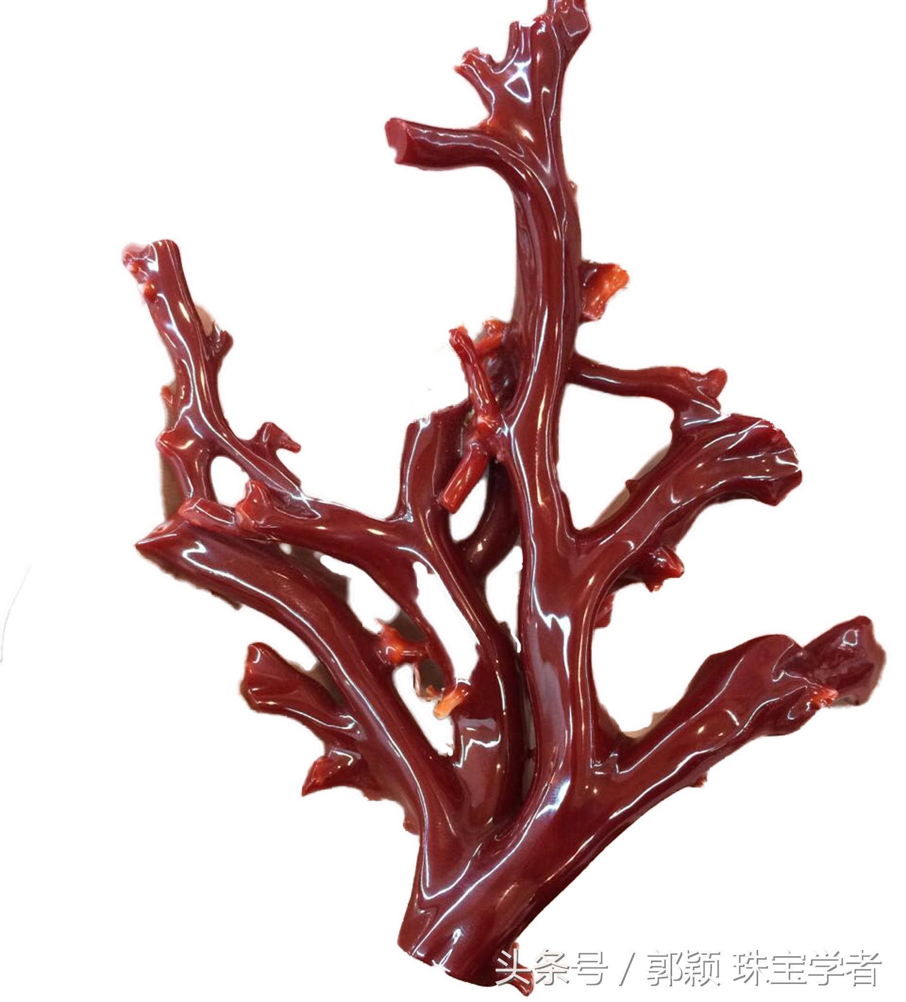 阿卡牛血红珊瑚自己戴可以吗,顶级阿卡牛血红珊瑚是哪个产地