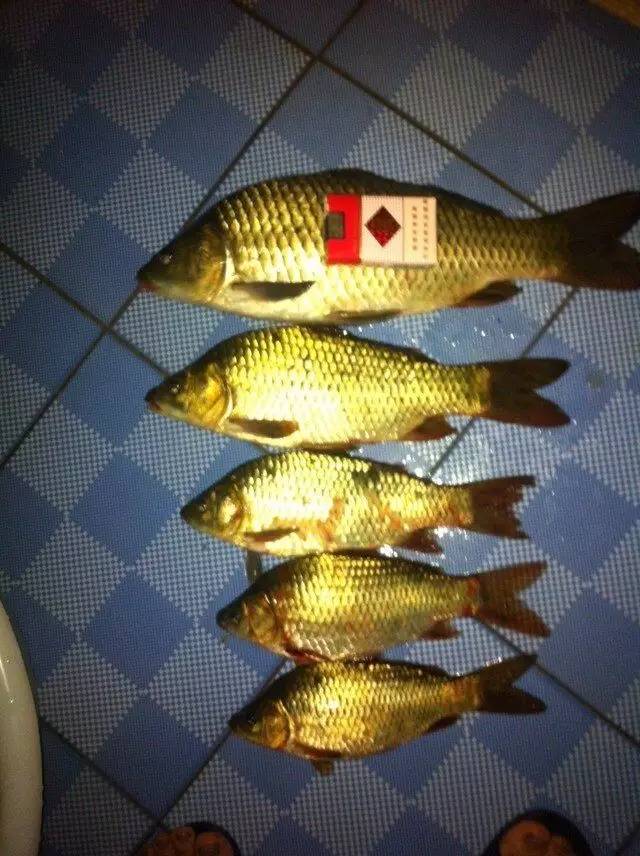 缁忓吀閽撴硶瑙嗛澶у叏,娆ч菠閽撴硶瑙嗛