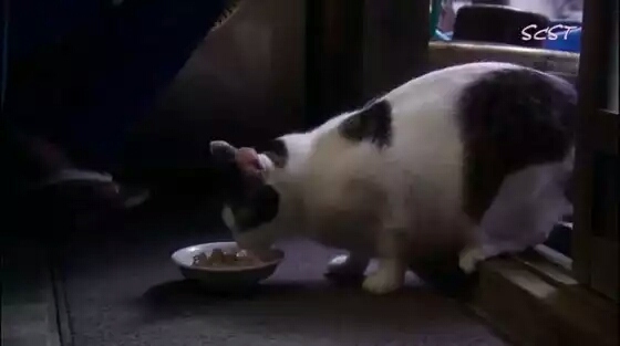 深夜食堂催人泪下的片段,深夜食堂经典片段震撼