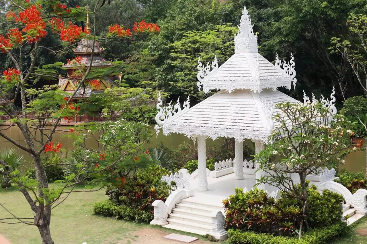 徐千雅彩云之南西双版纳,彩云之南云南西双版纳景色