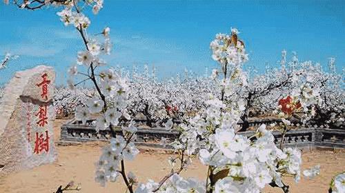 假期约起！珠海开通全新飞行航线，美食美景撩拨你那骚动的心！