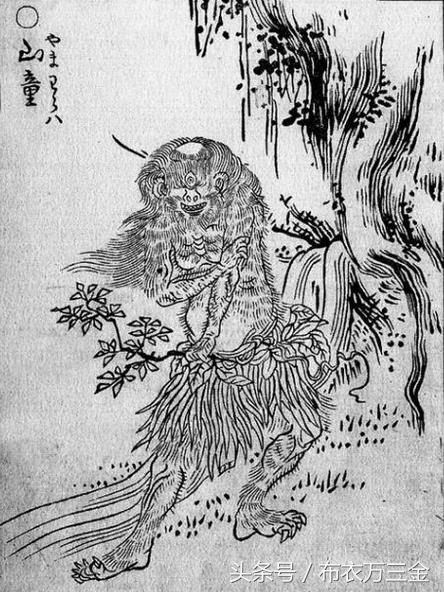 阴阳师山童是什么,阴阳师山童简介
