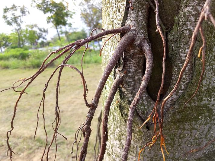 魅蓝e2全部参数配置,魅蓝e2现在值得入手吗
