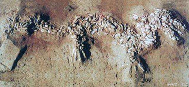 中国最古老的城市濮阳,以前的濮阳和现在的濮阳对比图